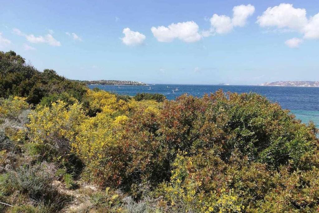 Casa Di Lu' - Bilocale Con Giardino - Porto Pollo Lejlighed Eksteriør billede